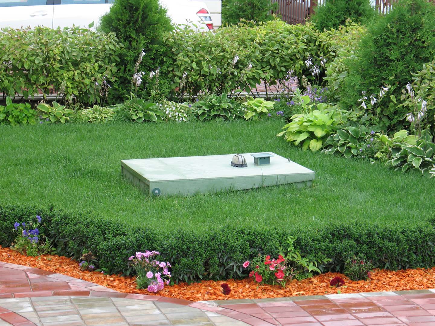 Что такое биологическая очистка сточных вод